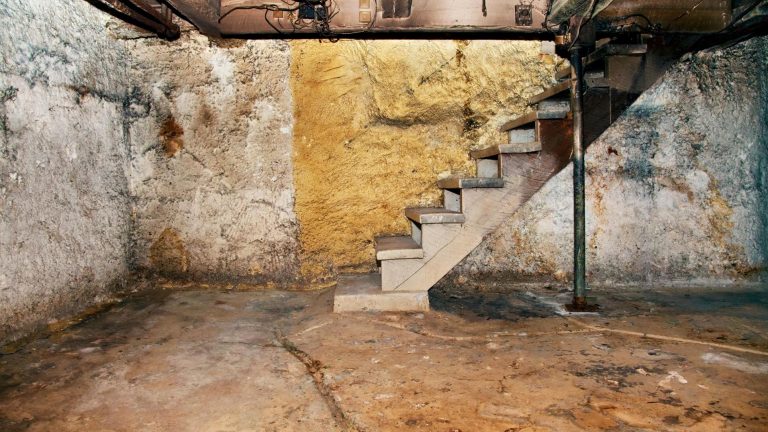 Les locataires sont obligés de vider leur cave et de la remettre à leur propriétaire.